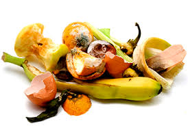 food scraps