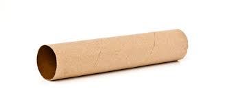 paper towel cardboard roll